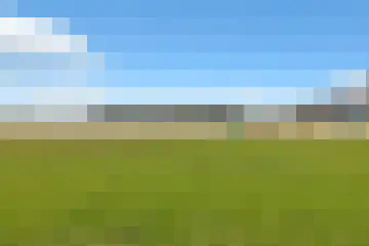 Veenmos 65 Zwolle thumbnail 37