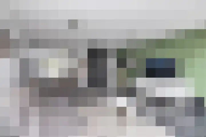 Veenmos 65 Zwolle thumbnail 4