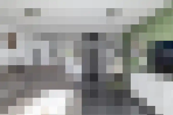 Veenmos 65 Zwolle thumbnail 5
