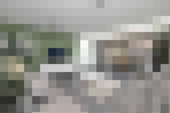 Veenmos 65 Zwolle thumbnail 6