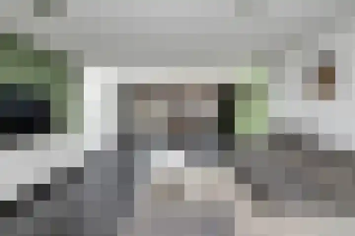 Veenmos 65 Zwolle thumbnail 7