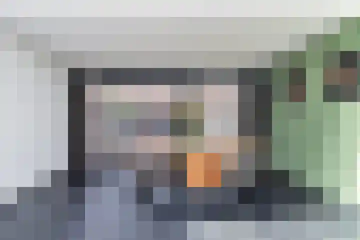Veenmos 65 Zwolle thumbnail 9