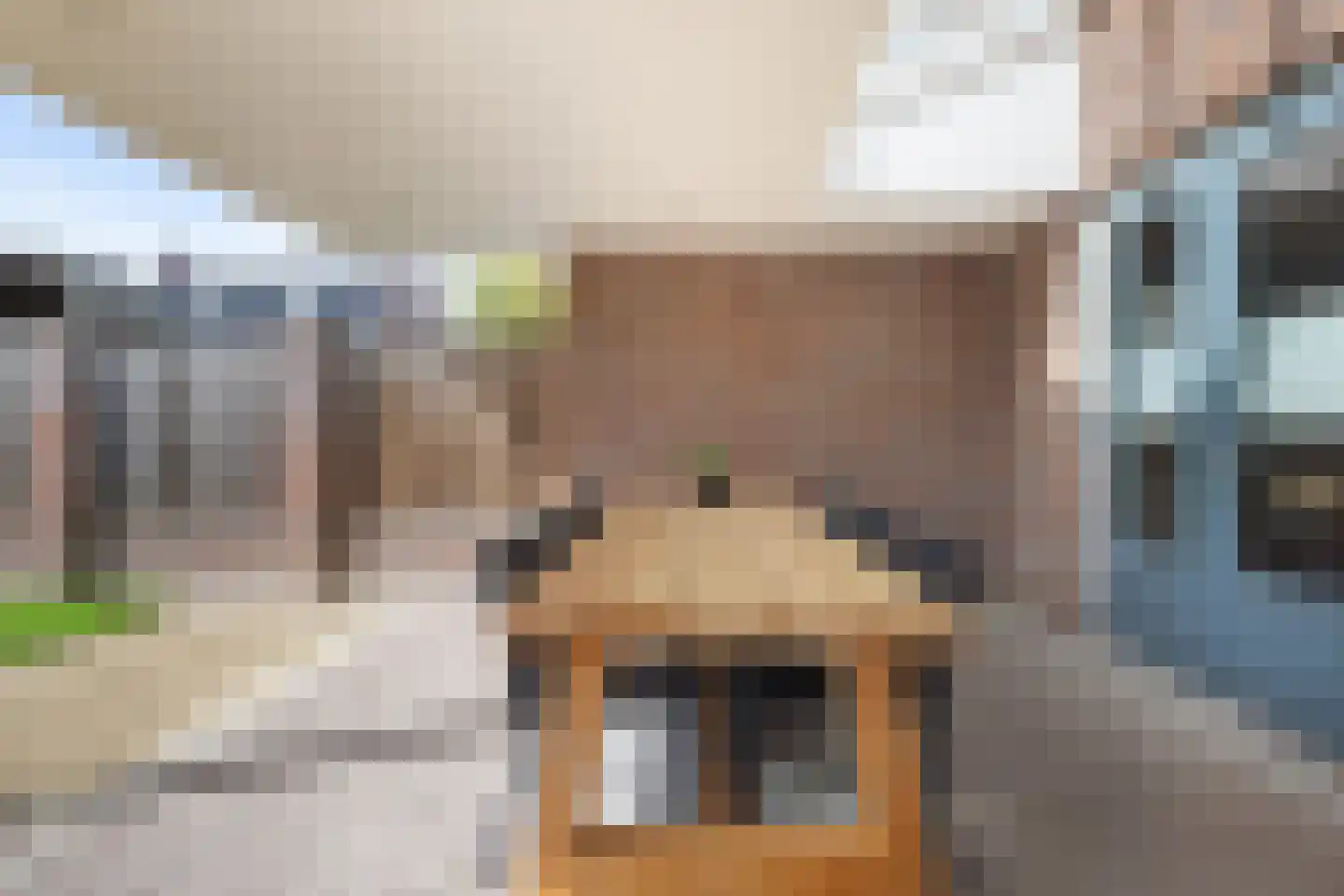 Veenmos 69 Boekel thumbnail 22