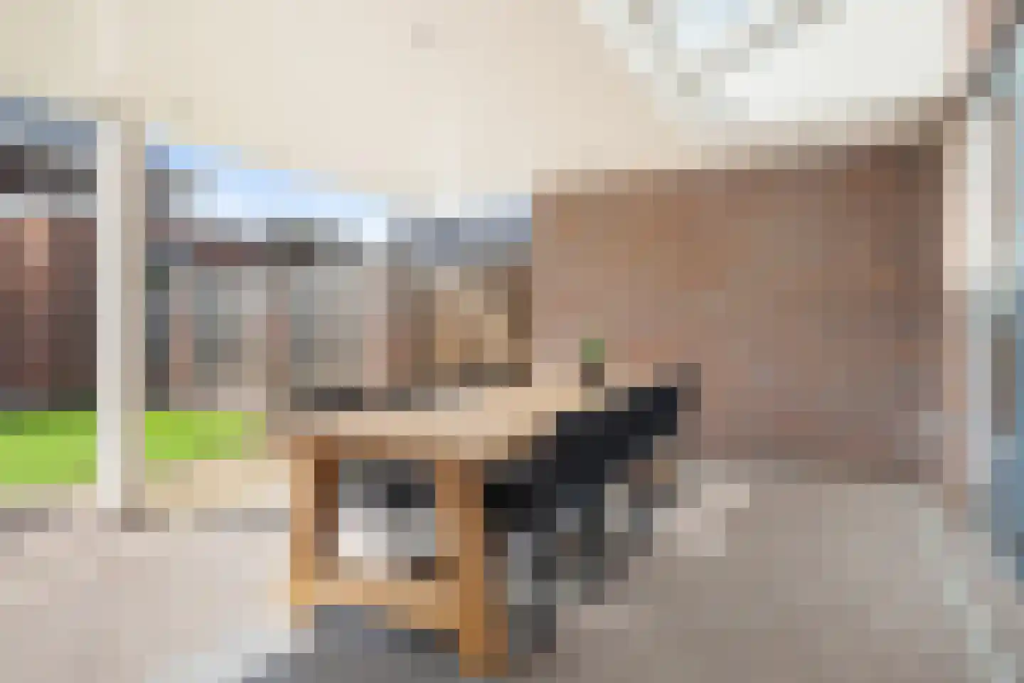 Veenmos 69 Boekel thumbnail 23