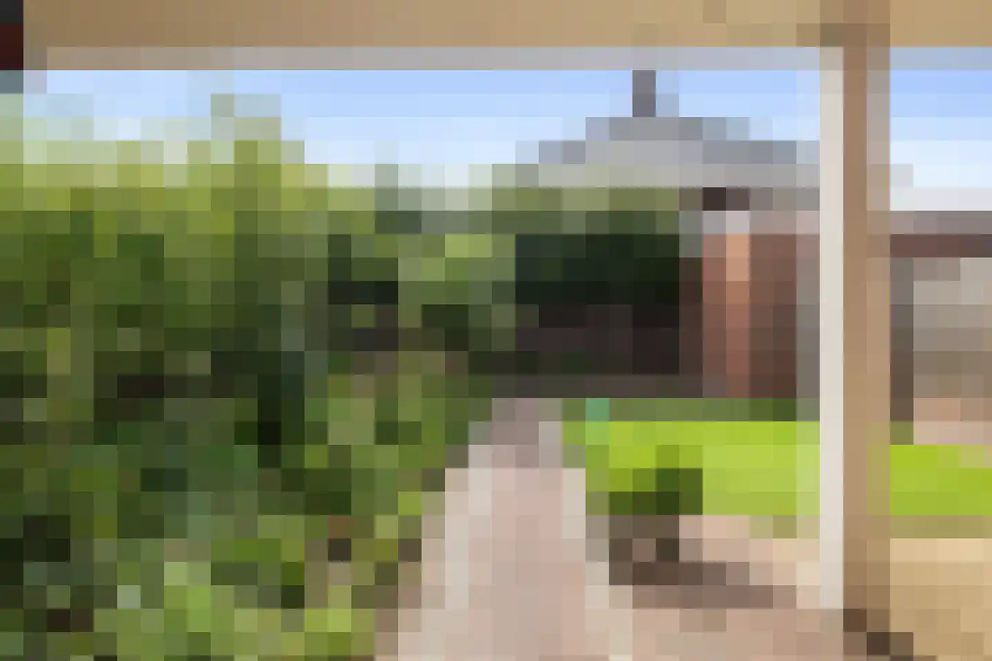 Veenmos 69 Boekel thumbnail 24