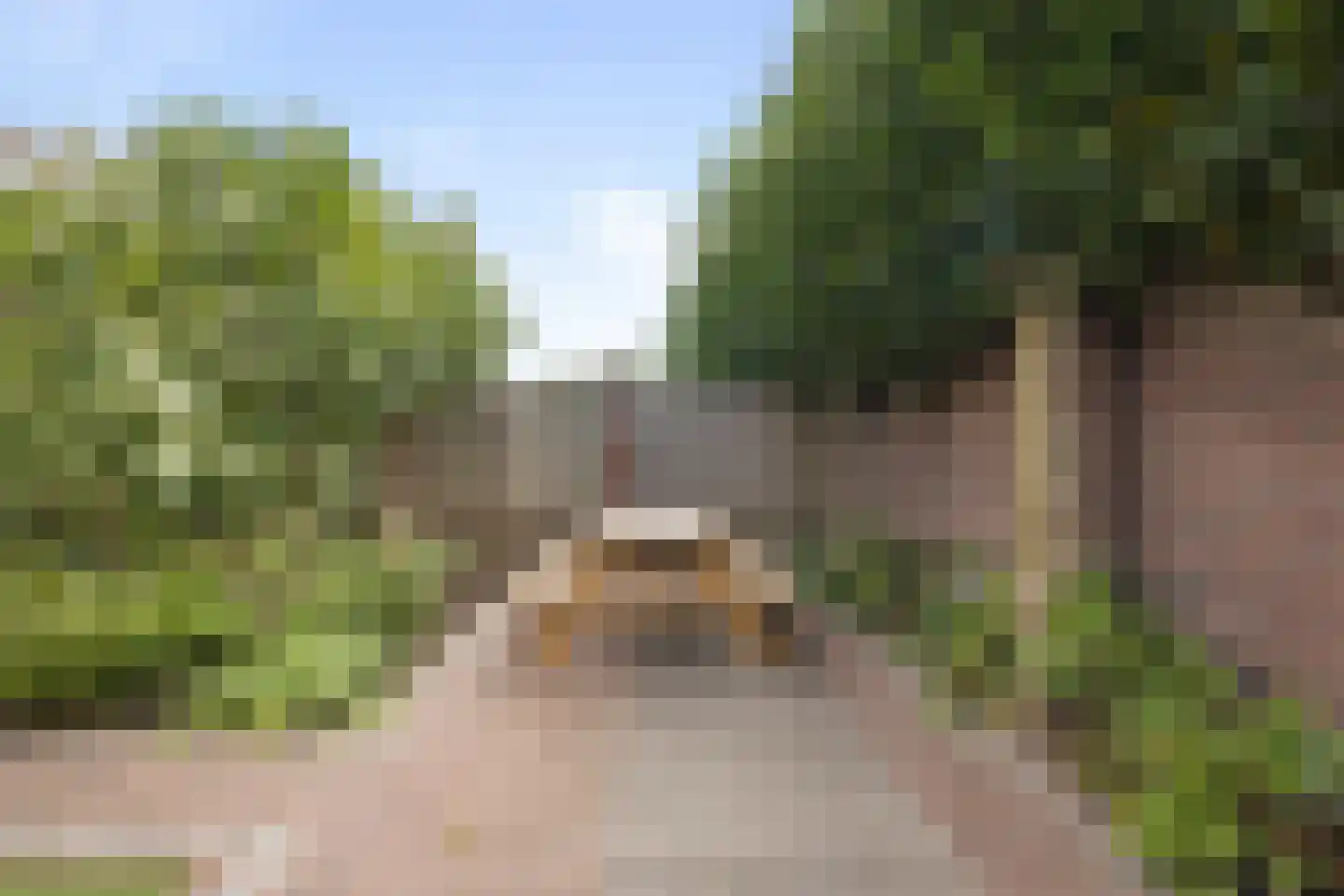 Veenmos 69 Boekel thumbnail 27