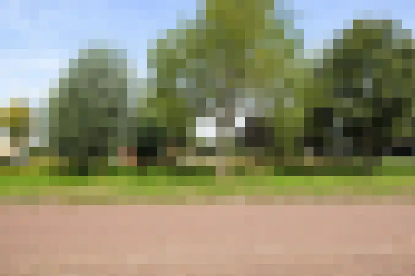 Veenmos 69 Boekel thumbnail 33