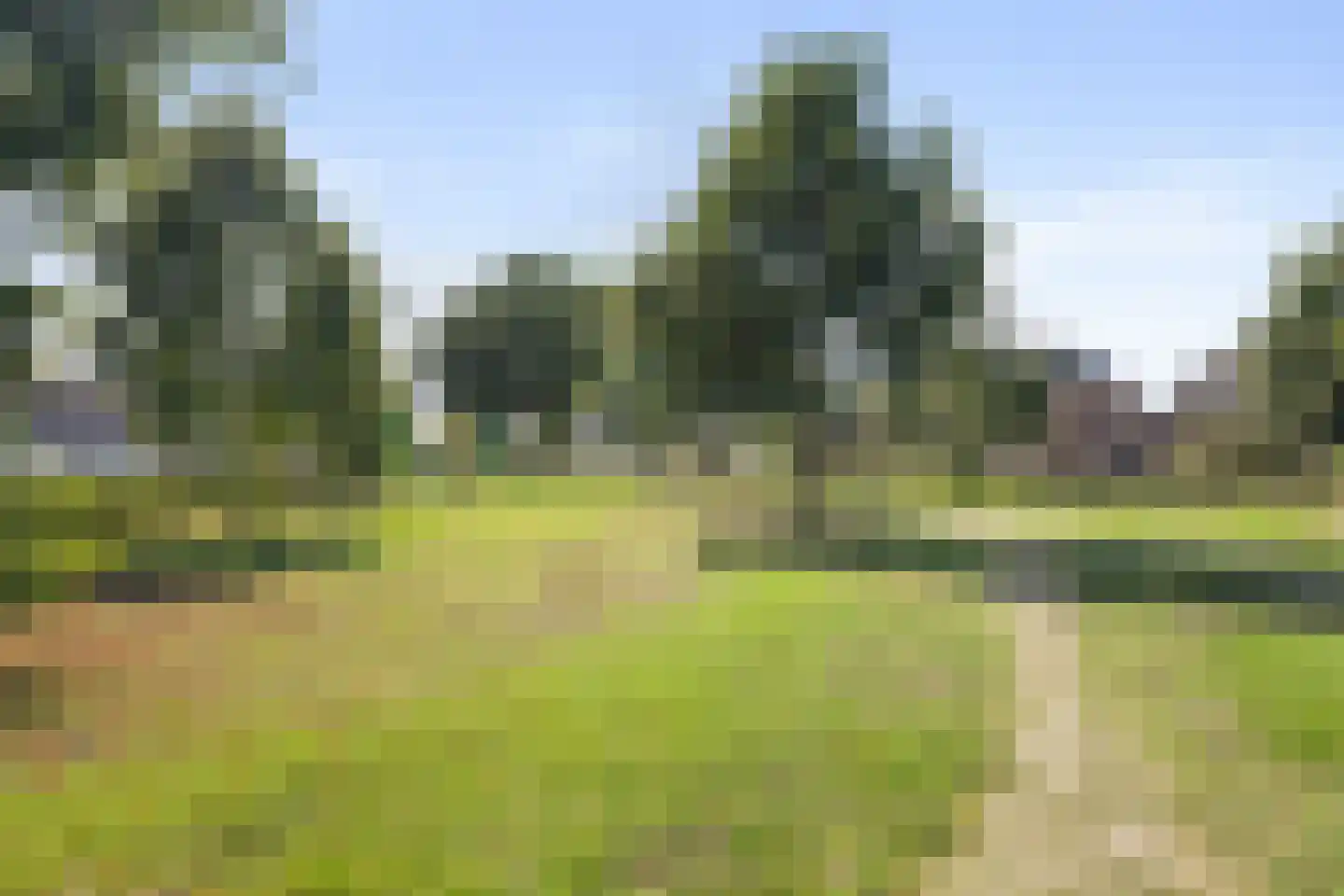 Veenmos 69 Boekel thumbnail 35