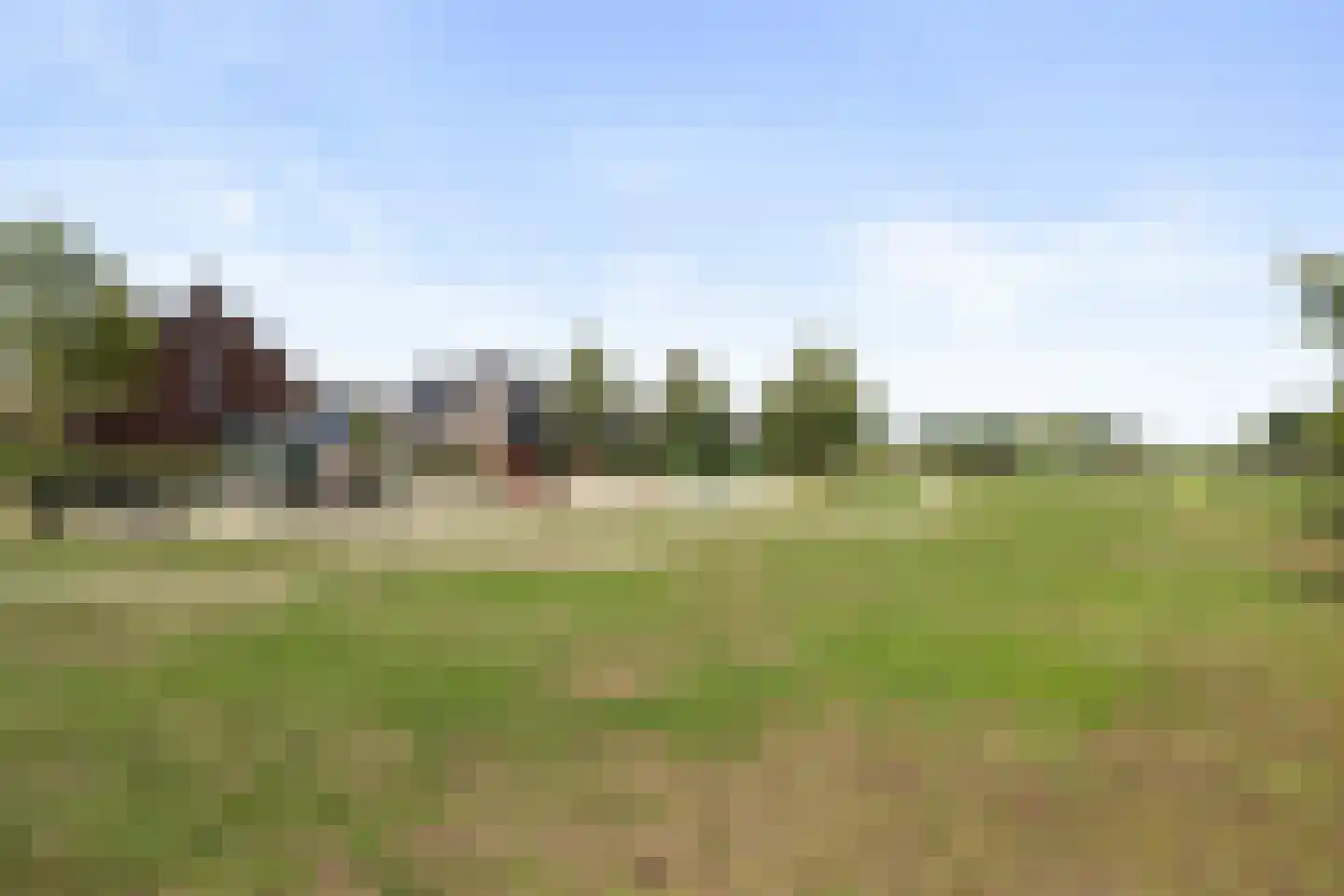 Veenmos 69 Boekel thumbnail 36
