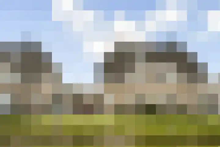 Veenmos 7 en Bergschenhoek