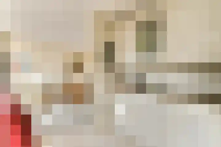 Veenmos 7 Bergschenhoek thumbnail 12