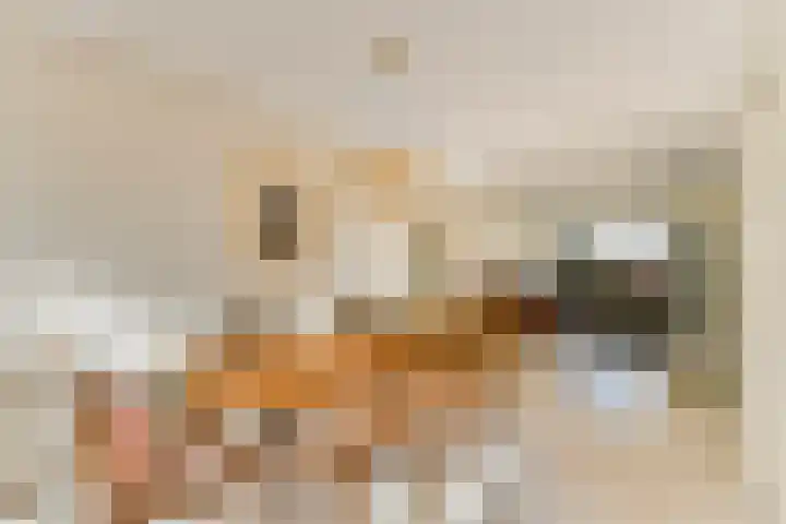 Veenmos 7 Bergschenhoek thumbnail 13