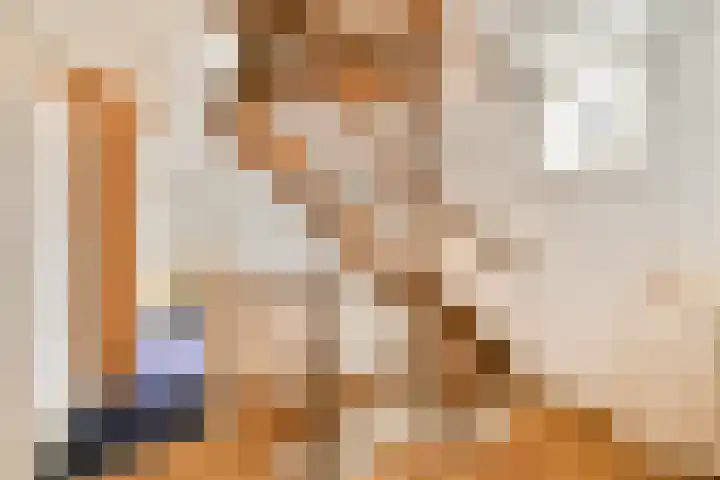 Veenmos 7 Bergschenhoek thumbnail 14