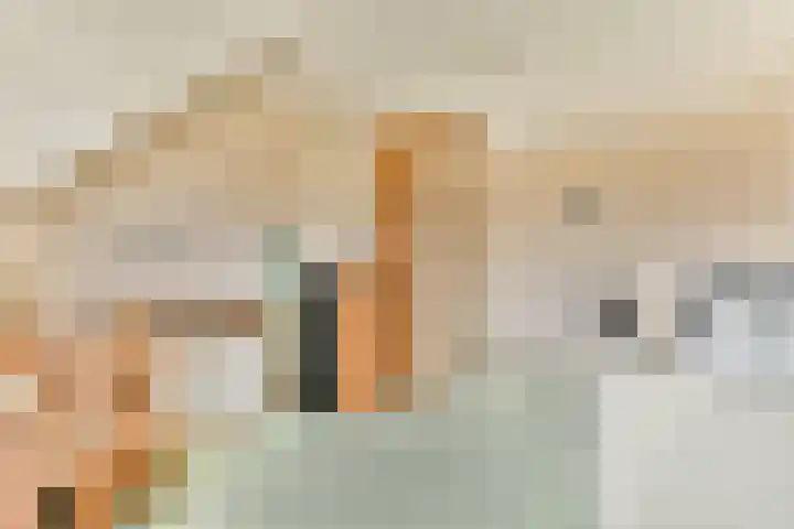 Veenmos 7 Bergschenhoek thumbnail 20