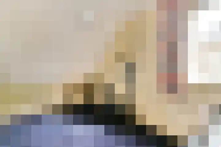 Veenmos 7 Bergschenhoek thumbnail 21