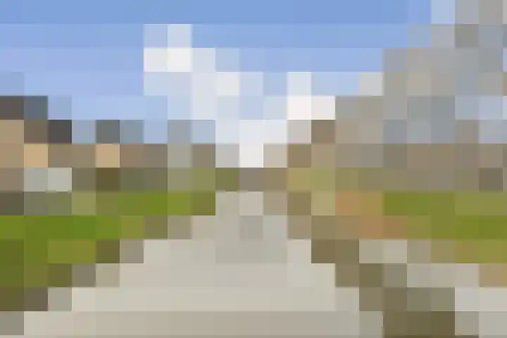 Veenmos 7 Bergschenhoek thumbnail 29