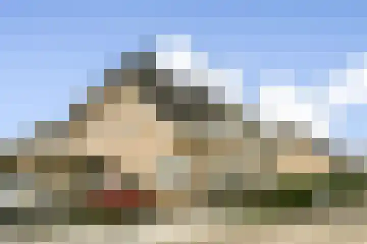 Veenmos 7 Bergschenhoek thumbnail 4