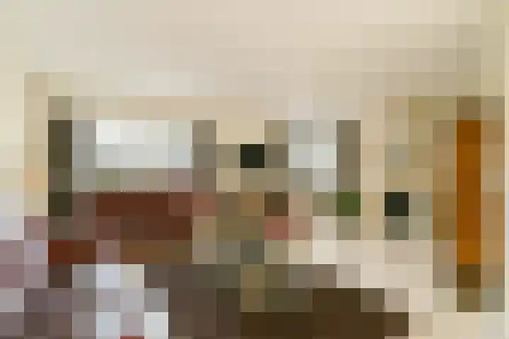 Veenmos 7 Bergschenhoek thumbnail 6