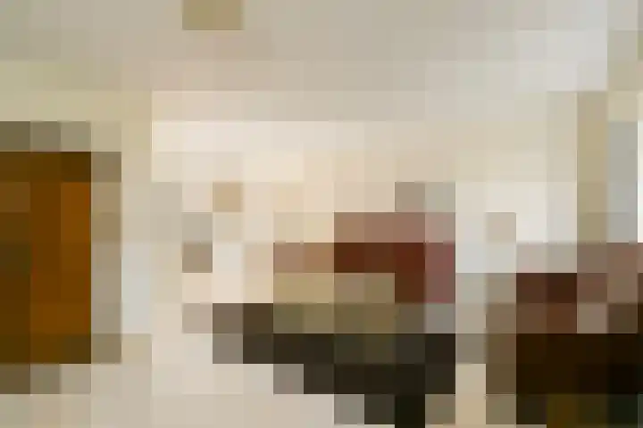 Veenmos 7 Bergschenhoek thumbnail 7