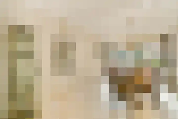 Veenmos 7 Bergschenhoek thumbnail 8