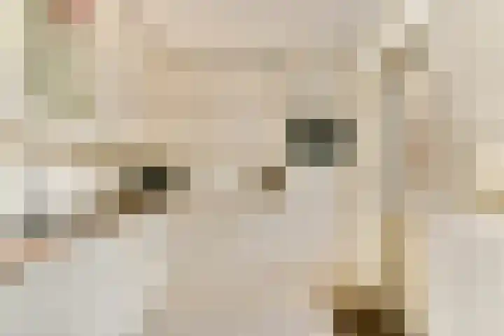Veenmos 7 Bergschenhoek thumbnail 9