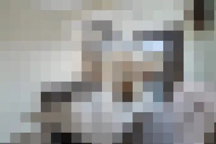 Veenmos 7 Nieuwerkerk aan den IJssel thumbnail 11