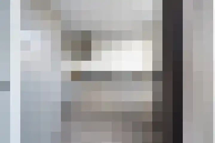 Veenmos 7 Nieuwerkerk aan den IJssel thumbnail 12