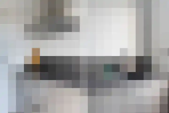 Veenmos 7 Nieuwerkerk aan den IJssel thumbnail 14