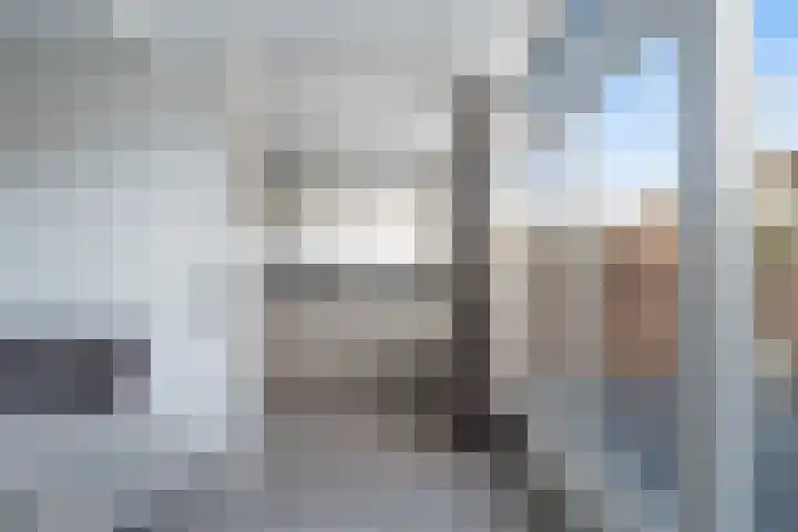 Veenmos 7 Nieuwerkerk aan den IJssel thumbnail 15