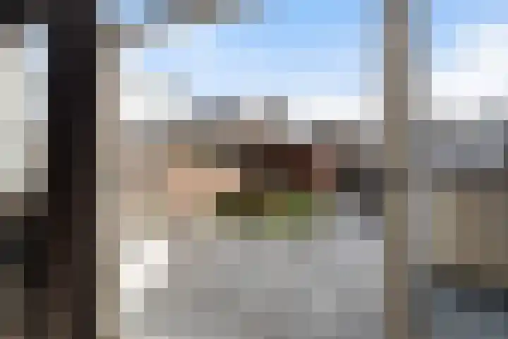 Veenmos 7 Nieuwerkerk aan den IJssel thumbnail 16