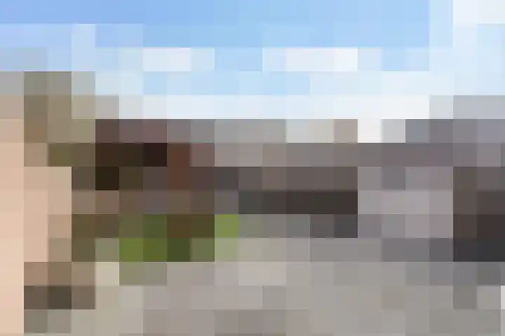 Veenmos 7 Nieuwerkerk aan den IJssel thumbnail 17