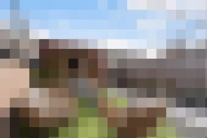 Veenmos 7 Nieuwerkerk aan den IJssel thumbnail 18