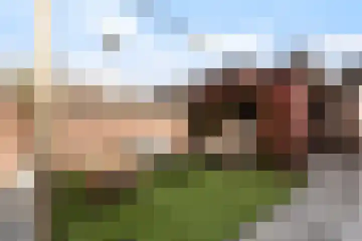 Veenmos 7 Nieuwerkerk aan den IJssel thumbnail 19