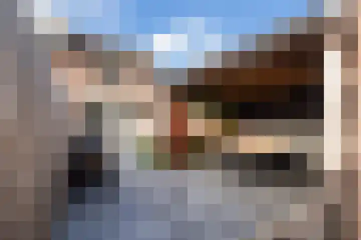 Veenmos 7 Nieuwerkerk aan den IJssel foto 2