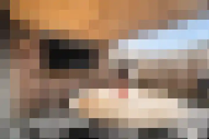 Veenmos 7 Nieuwerkerk aan den IJssel thumbnail 20