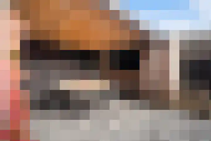 Veenmos 7 Nieuwerkerk aan den IJssel thumbnail 21