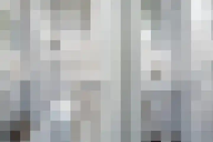 Veenmos 7 Nieuwerkerk aan den IJssel thumbnail 26