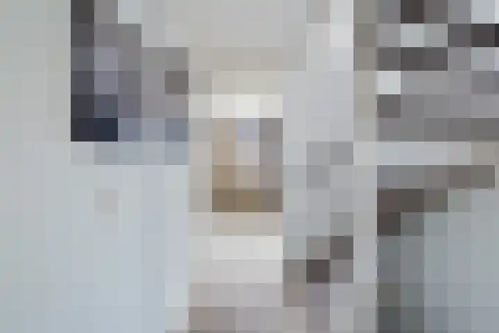 Veenmos 7 Nieuwerkerk aan den IJssel thumbnail 27
