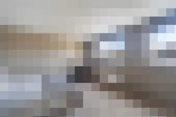 Veenmos 7 Nieuwerkerk aan den IJssel thumbnail 29