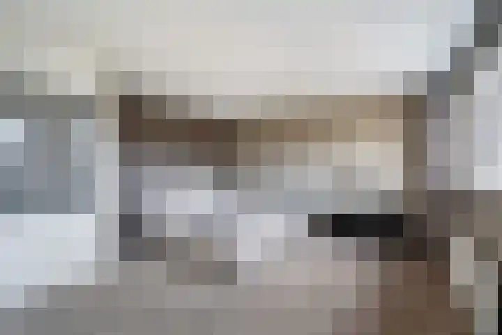Veenmos 7 Nieuwerkerk aan den IJssel thumbnail 30