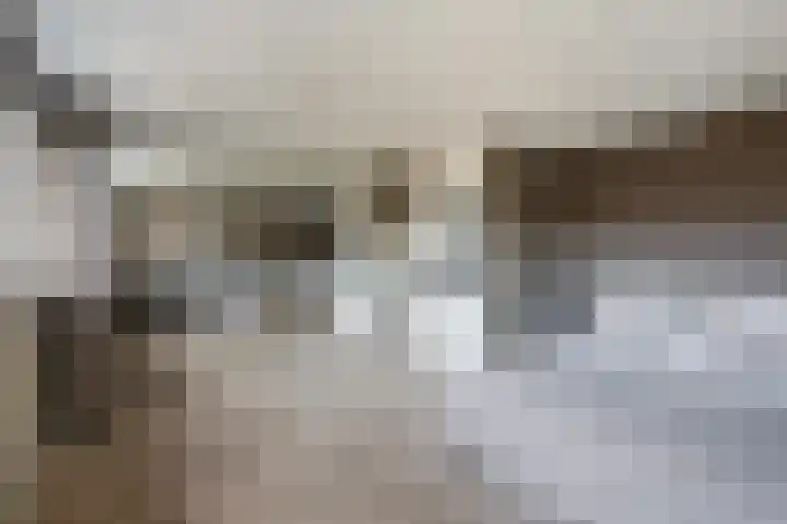 Veenmos 7 Nieuwerkerk aan den IJssel thumbnail 31