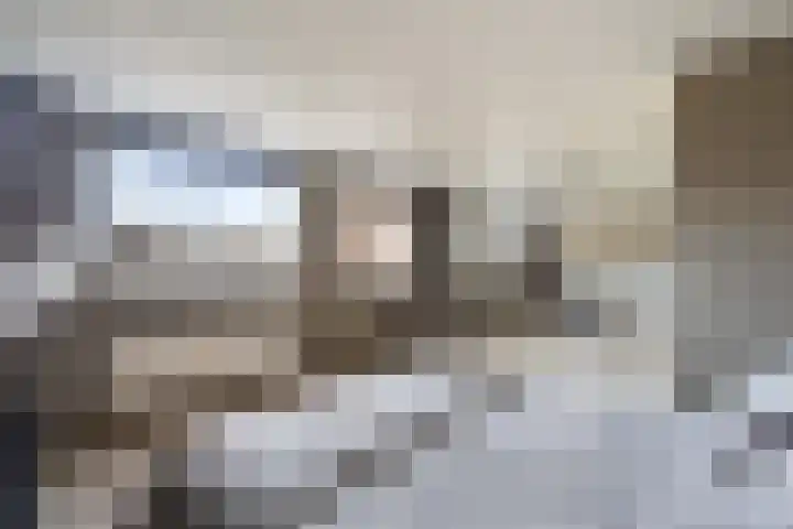 Veenmos 7 Nieuwerkerk aan den IJssel thumbnail 32