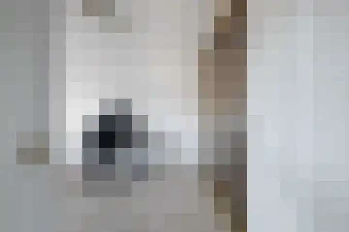 Veenmos 7 Nieuwerkerk aan den IJssel thumbnail 33