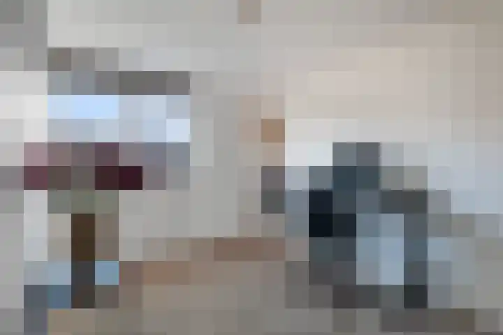 Veenmos 7 Nieuwerkerk aan den IJssel thumbnail 37