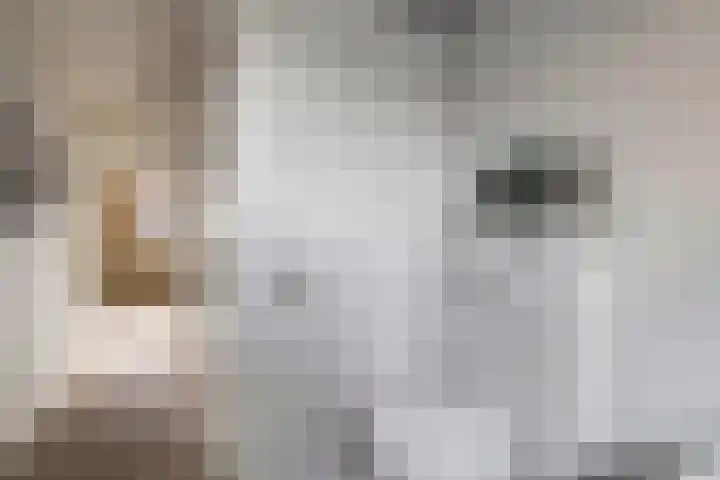 Veenmos 7 Nieuwerkerk aan den IJssel thumbnail 38