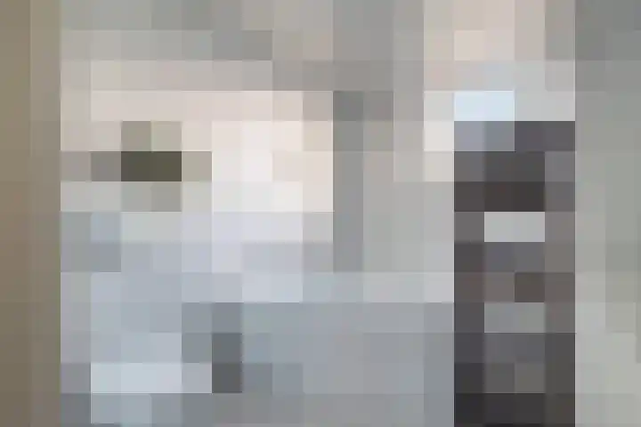 Veenmos 7 Nieuwerkerk aan den IJssel thumbnail 39