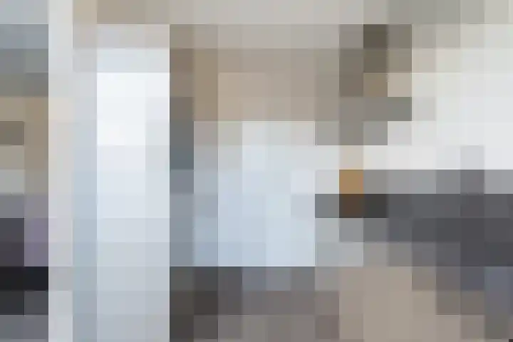 Veenmos 7 Nieuwerkerk aan den IJssel thumbnail 4