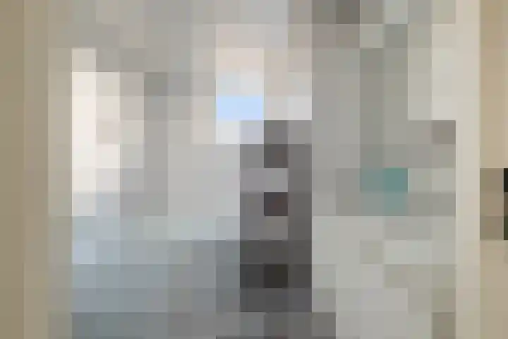 Veenmos 7 Nieuwerkerk aan den IJssel thumbnail 40
