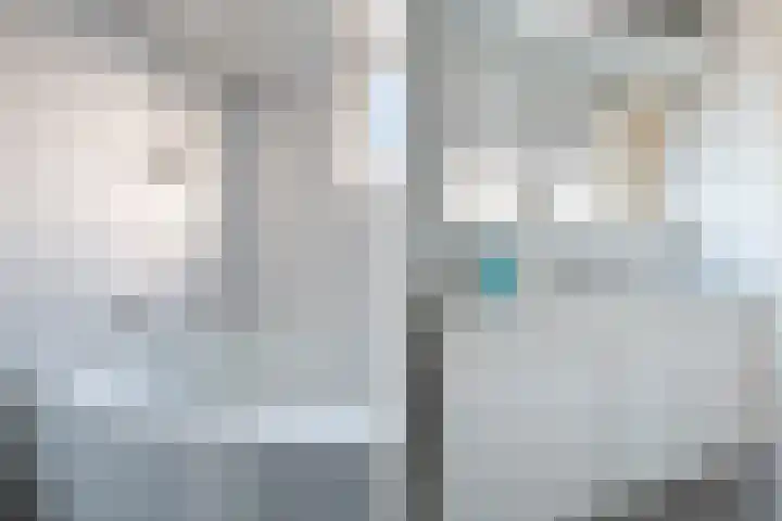 Veenmos 7 Nieuwerkerk aan den IJssel thumbnail 42