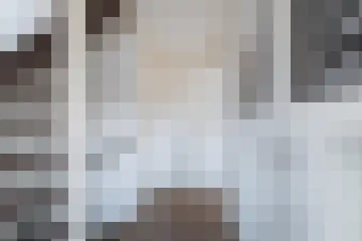 Veenmos 7 Nieuwerkerk aan den IJssel thumbnail 43